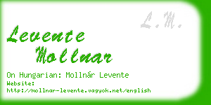 levente mollnar business card